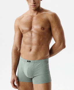 ATLANTIC 2RMH-007 Трусы шорты - набор (2 шт.) светло-зеленый + графитовый  фото 2