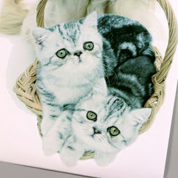 Интерьерная наклейка 3Д TAKE IT EASY «Домашние питомцы пришли», 57×40 см