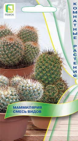 Маммилярия Смесь видов (ЦВ) ("К) 10шт