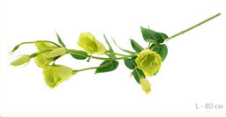 Цветок искусственный Эустома 80 см / 7030W /уп 60/240/зеленая