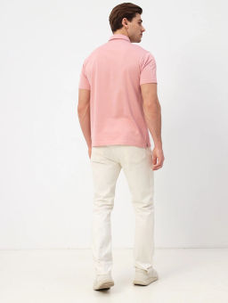 Джемпер мужской с воротником поло короткий рукав GREG G144-PD124T-LT1001 (красный)  фото 7