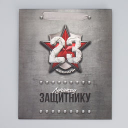 Цена за 2 шт. Пакет подарочный ламинированный, упаковка, «С 23 февраля», ML 23×27×11.5 см