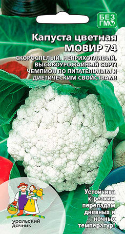 Капуста цветная МОВИР 74  Неприхотливый, высокоурожайный сорт! Чемпион по питательным и диетическим свойствам!
