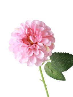 Цена за 2 шт. Цветы искусственные «Хризантема Амадея», d=9 см, h=46 см, розовые