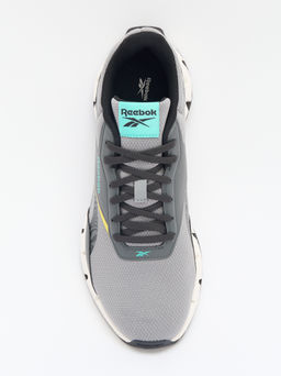 Мужские кроссовки REEBOK ZIG DYNAMICA STR Артикул 4271010, серый