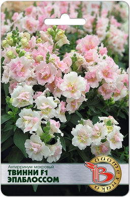 Антирринум махровый Твинни F1 Эплблоссом