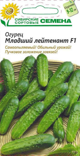 Младший лейтенант F1 огурец 7 шт парт (ссс) Р