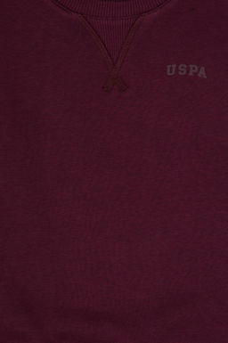 Erkek _ocuk Bordo Bisiklet Yaka Basic Sweatshirt - U.s. polo assn фото 3
