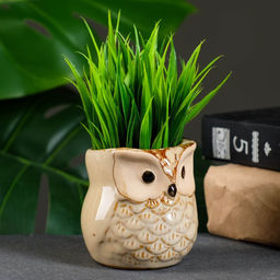 Декоративный горшок для цветов «Сова Ава» керамический, 150 мл, 6×6×6.5 см, МИКС