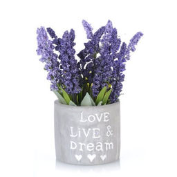 Цветочная композиция Лаванда 17 см / NS895 /уп 60/ - Галеонтрейд фото 4