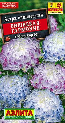 Астра Вишневая гармония, смесь сортов (2029