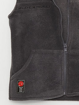 Dik Yaka Polar Erkek Bebek Fermuarl? Yelek - Waikiki фото 3