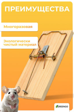 Цена за 2 шт. Крысоловка, 17 × 8 см, дерево, Greengo
