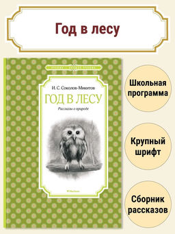 Год в лесу. Рассказы о природе. Соколов-Микитов И.
