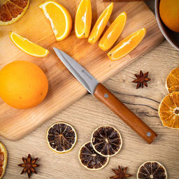 Нож кухонный Daniks, Карелия, для овощей, нержавеющая сталь, 9 см, рукоятка дерево, JA20200152-5 (44