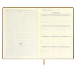 Ежедневник недатированный ESCALADA, А6+, 160 л., арт. 64220/ 20 КРОКО МЕТАЛЛИК ЗОЛОТОЙ  фото 6