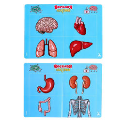 Настольная игра на развитие Весёлая анатомия, работает от батареек - Лас играс kids фото 5