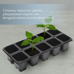 Цена за 2 шт. Кассета для рассады, 10 ячеек по 100 мл, набор 5 шт., чёрная - Simaland фото 4