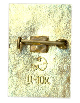 Значок Петродворец