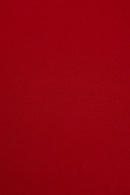 Erkek Slim Fit Polo Yaka Bordo Basic Ti__rt - U.s. polo assn фото 7