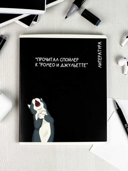 Тетрадь предметная арт. 69832/ 16 КОТЫ МЕМЫ ЛИТЕРАТУРА