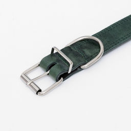 Ошейник кожанный двухслойный 3,5 см, ОШ 46-58 см, изумрудный - Пижон фото 4