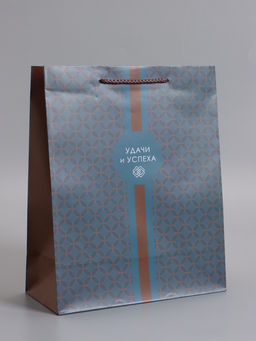 Пакет подарочный ламинированный «Статусный акцент», 26×12×32 см