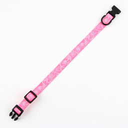 Ошейник My littlle princess, застёжка - фастекс, 2 см 25-40 см - Пушистое счастье фото 6