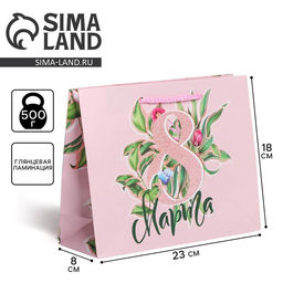 Цена за 2 шт. Пакет подарочный ламинированный, упаковка, «8 марта», MS 18×23×8 см