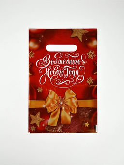 Набор подарочных пакетов, полиэтилен, 4 вида, 20 шт., «Новый год», 20×30 см