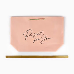 Пакет подарочный, упаковка, Present for you, 30?27.5?12 см