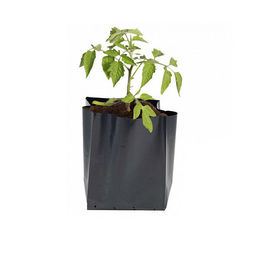 Пакет для рассады п/эт. 0,5л 7х10см (уп.50шт.)