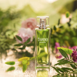 Dilis TWEE GREENERY Туалетная вода для женщин 50 мл  фото 2