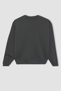 Толстый свитшот с круглым вырезом и принтом для девочек - Defacto фото 9