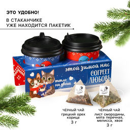 Чай подарочный Тепло на двоих, набор 2 шт. ? 3 г