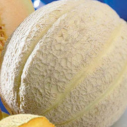 5019D Дыня Награда 5шт