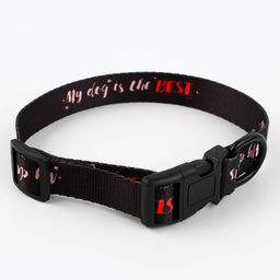 Ошейник My dog is the best, застёжка - фастекс, 2 см 25-40 см - Пушистое счастье фото 3