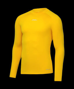 Джемпер компрессионный утепленный JOGEL CAMP PerFormDRY Baselayer Top Warm, желтый