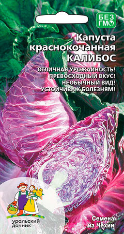 Капуста краснокочанная КАЛИБОС  Превосходный вкус! Необычная форма! Великолепна для салатов!