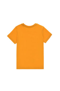 Erkek _ocuk Hardal Pijama Tak_m_ Sepette S_rpriz _ndirim - U.s. polo assn фото 3