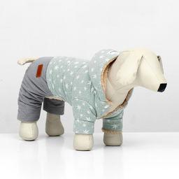 Комбинезон Прогулка, размер XS (ДС 20, ОГ 33, ОШ 23 см, до 3 кг), серо-зелёный