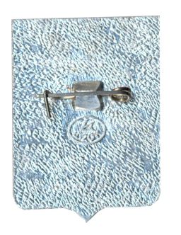 Значок Вольск