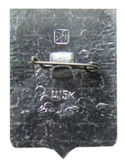 Значок Кузнецк