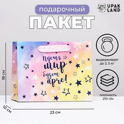 Цена за 2 шт. Пакет подарочный ламинированный горизонтальный «Пусть мир будет ярче», 23×18×10 см