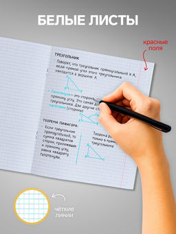 Набор тетрадей 96 листов в клетку, Calligrata Кошачьи радости, 4 штук  фото 3