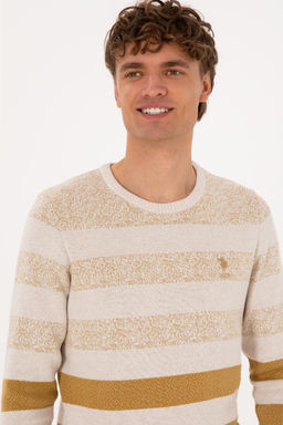 Erkek Regular Fit Bisiklet Yaka Hardal Kazak - U.s. polo assn фото 9