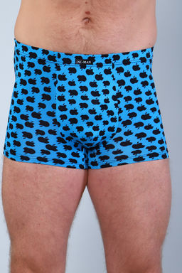 Трусы мужские 28621