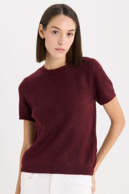 Regular Fit Bisiklet Yaka Basic Duz Triko K?sa Kollu Tisort Kazak