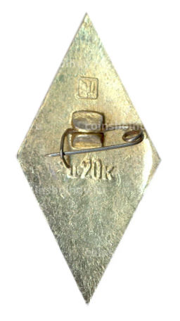 Значок ВДПО (Всероссийское добровольное пожарное общество)