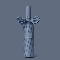 Зонт UMBR-LN-33-Blue